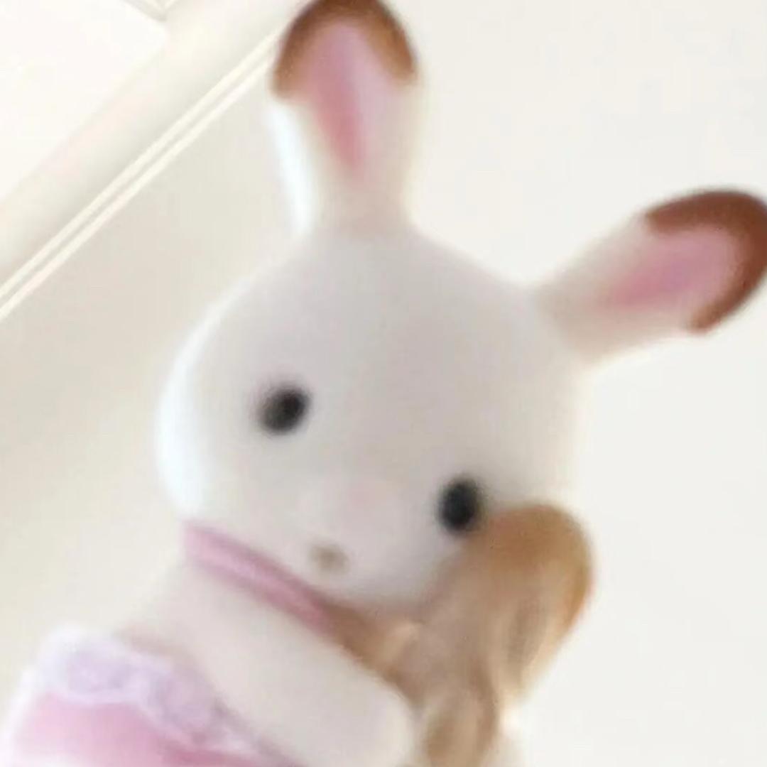 会有小猫的