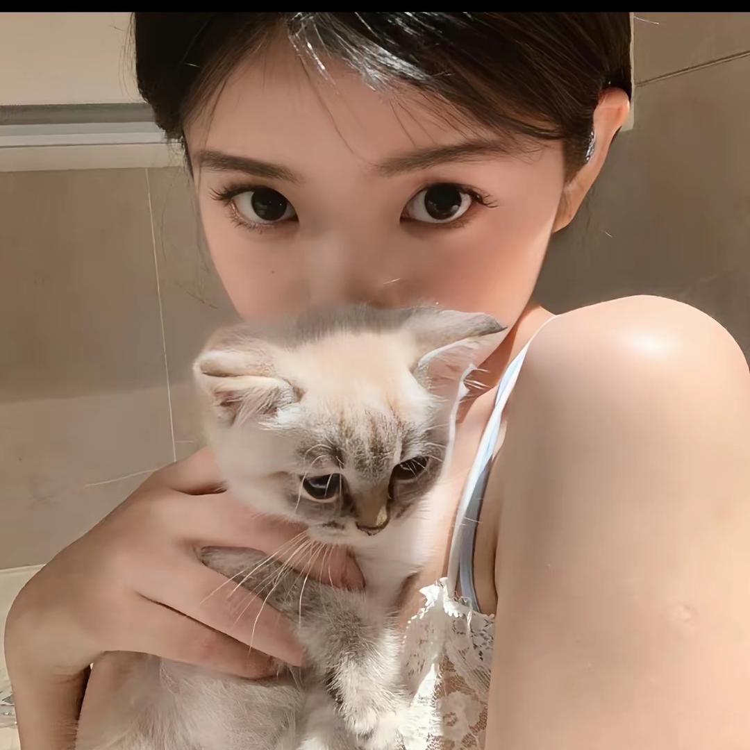 面包小猫