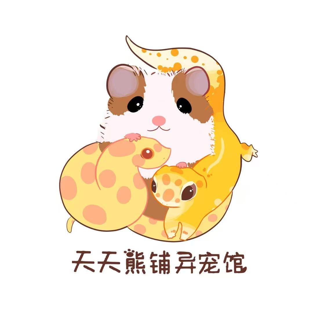 天天熊铺异宠馆