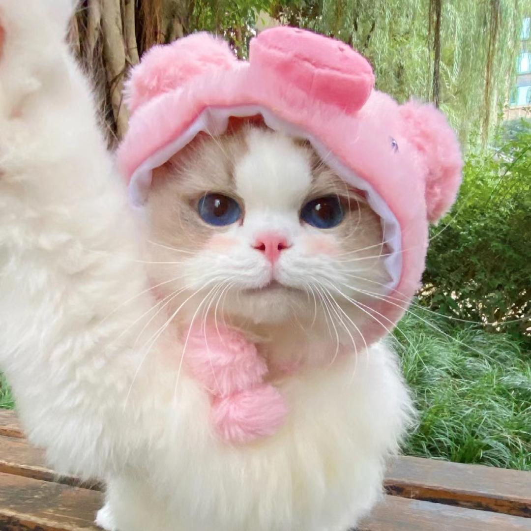 我很困啊真的🎀