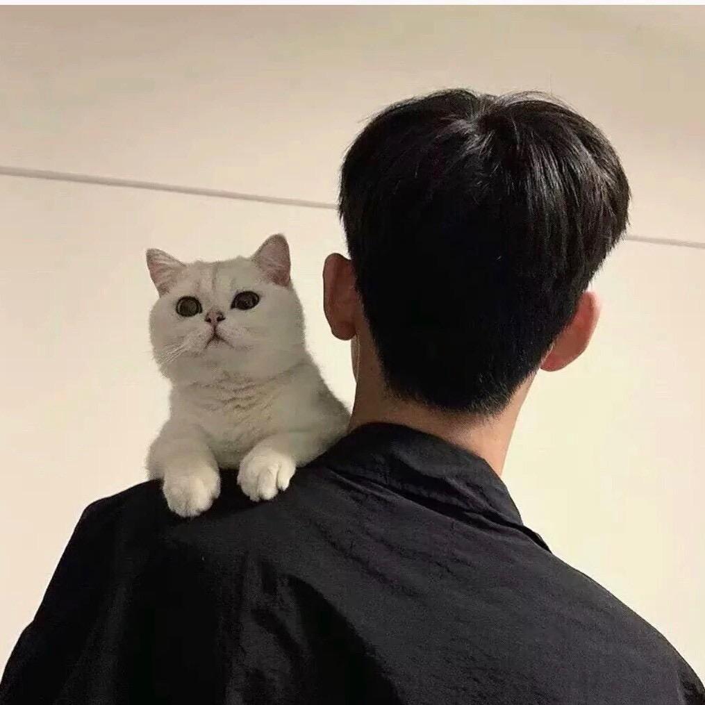 南辞@