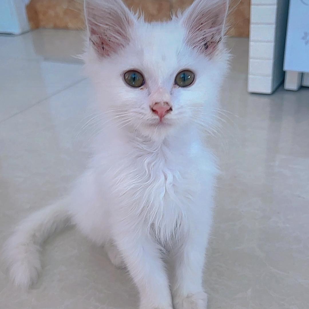 钱豆豆