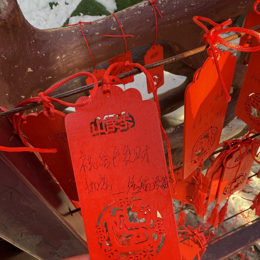 新余智汇凌航说猫宠物有限公司