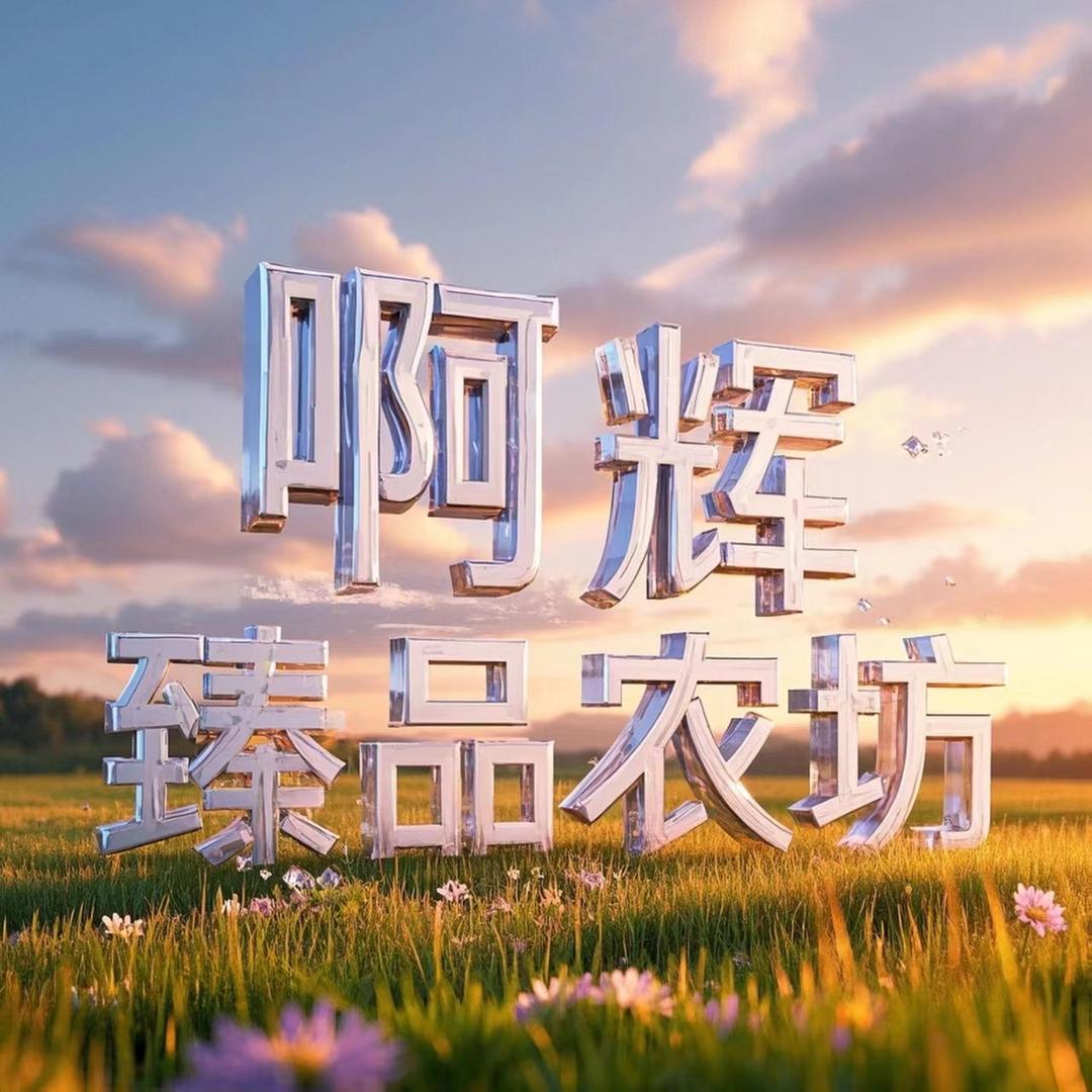 啊辉臻品农坊