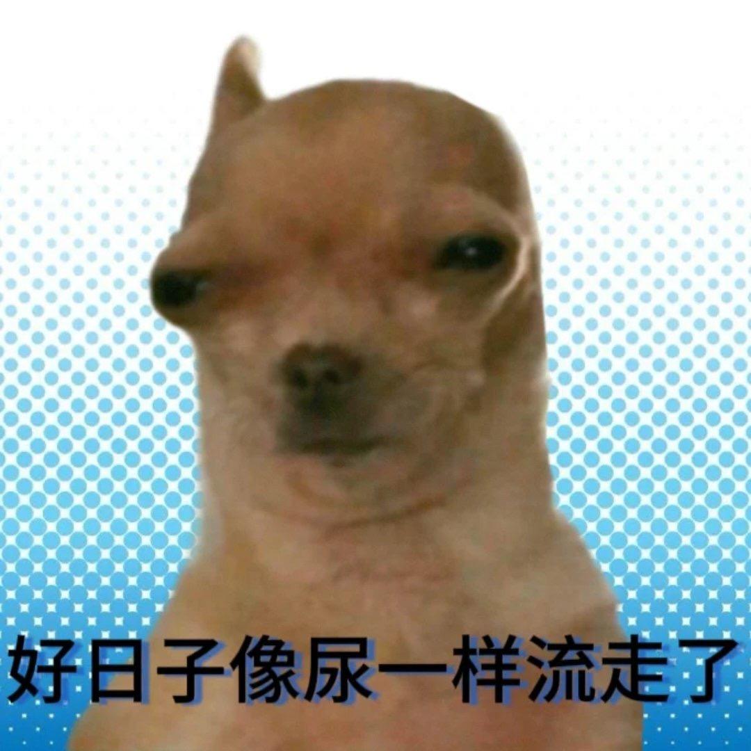 干脆面重度依赖