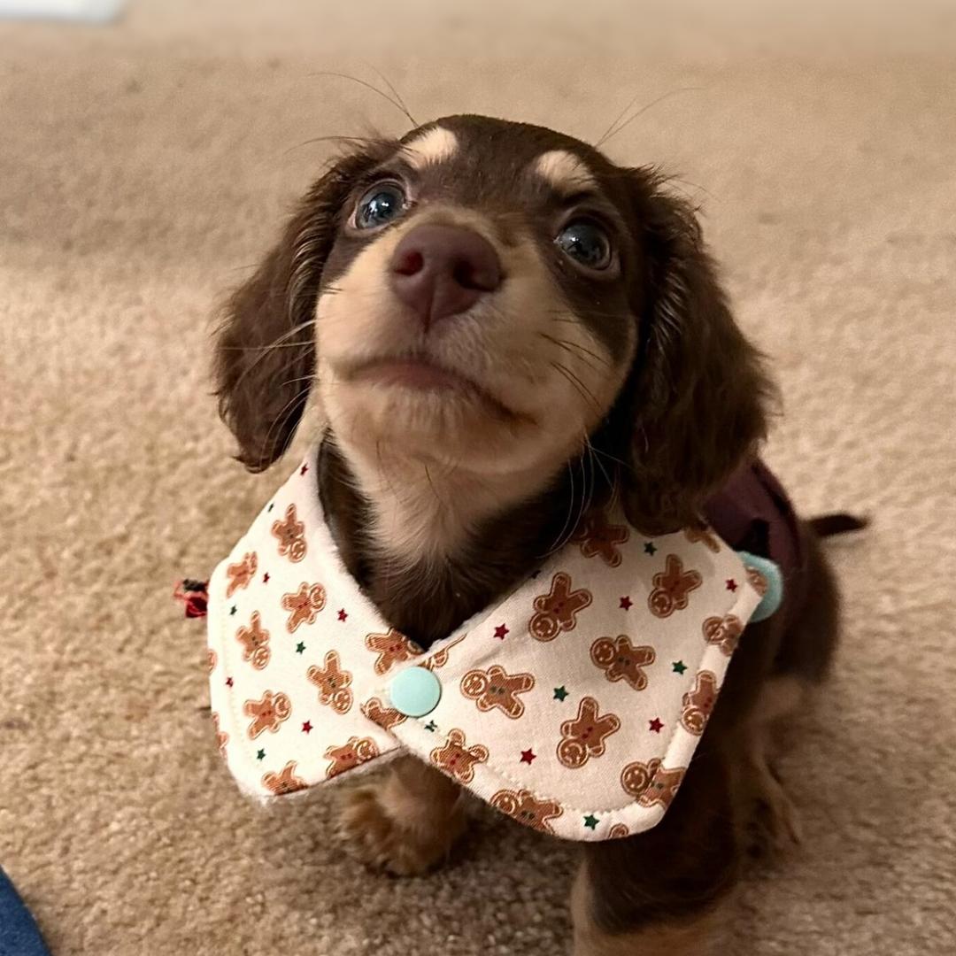 eleven