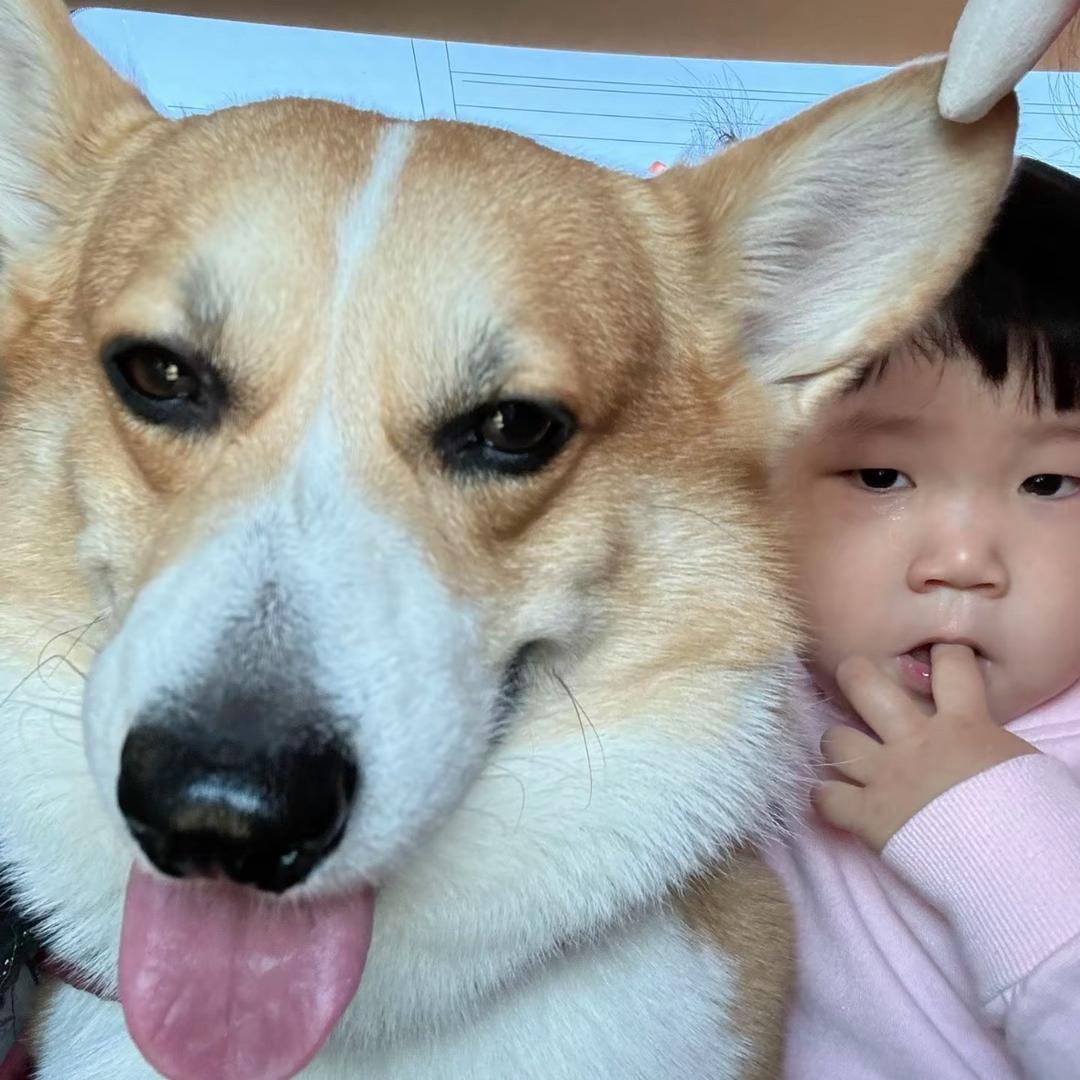 雷达小姐