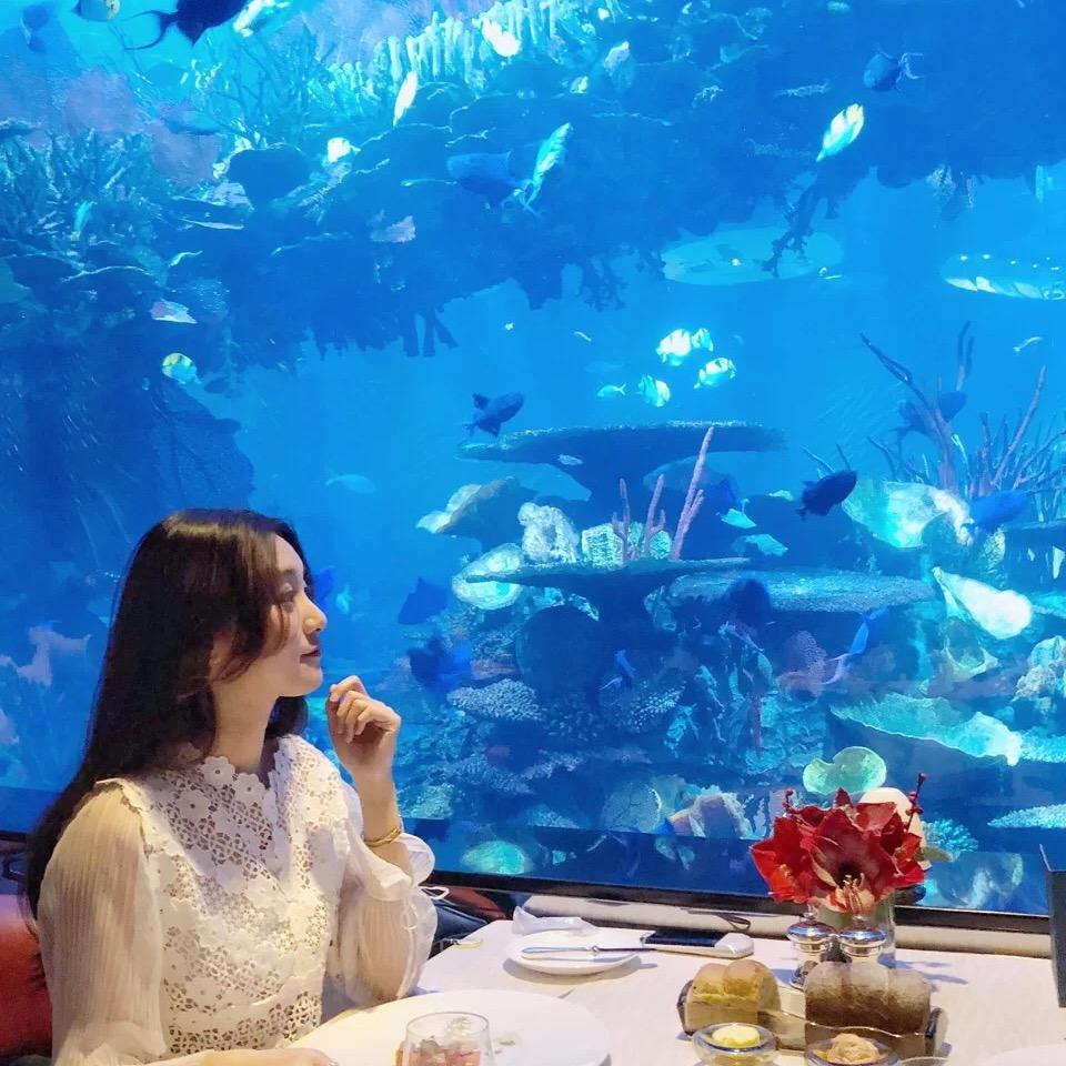 上海鱼缸设计定制