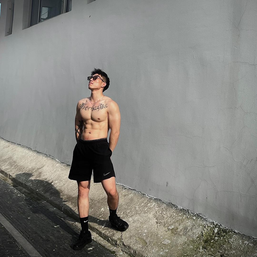 大树的衣橱