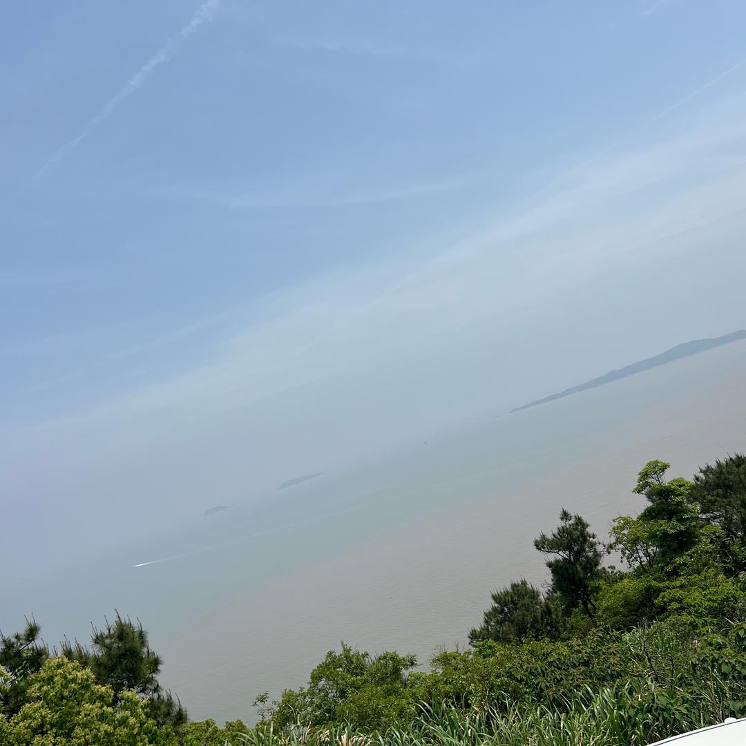 中金家