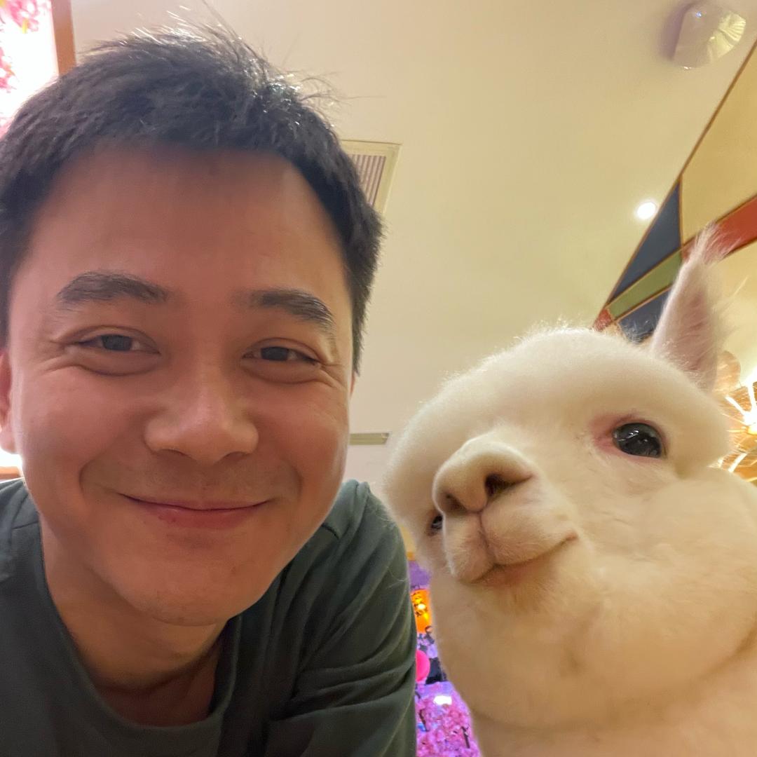 辰哥金融