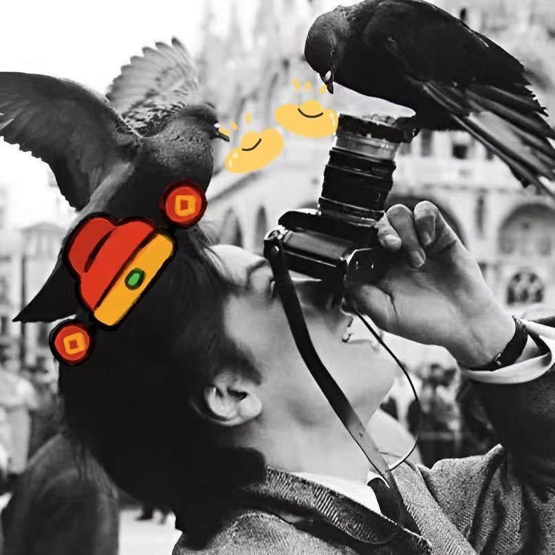 乐了哥