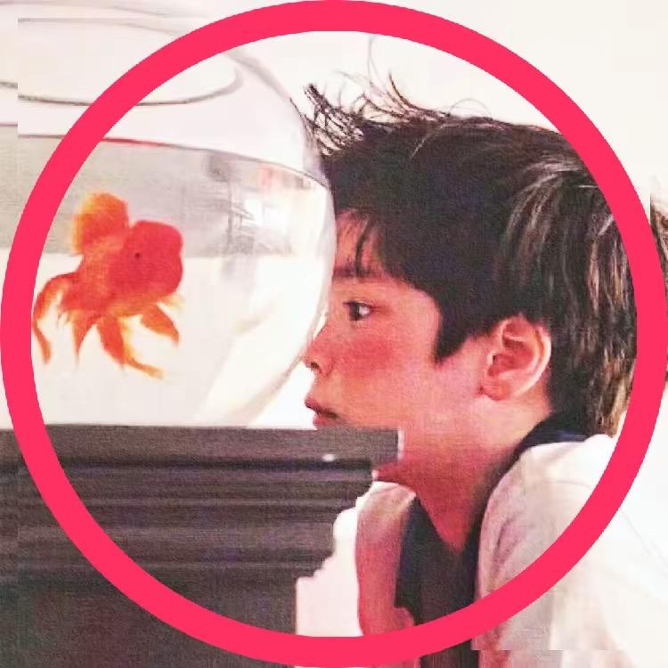 星星点灯灯