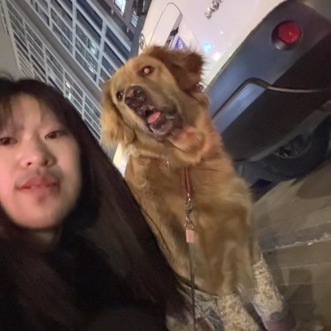 艾总的朋友圈