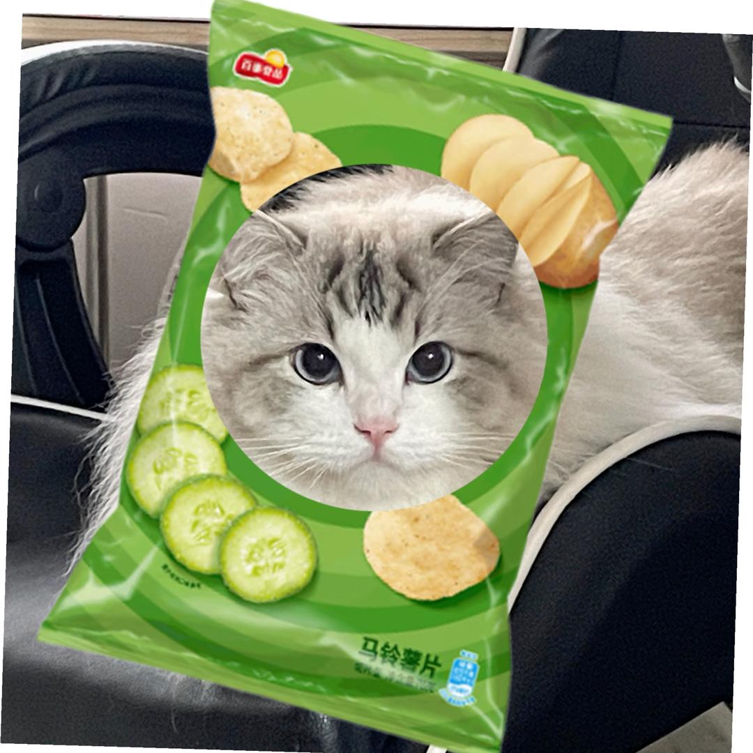 悠米是布偶