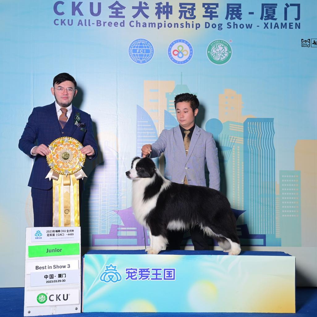 CKU-伊辰犬舍