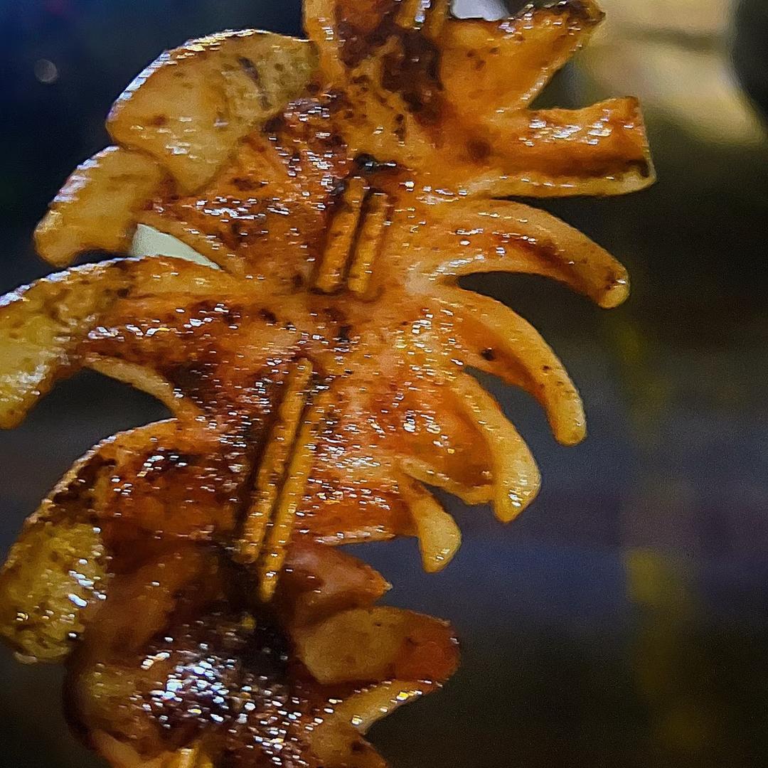 鱿鱼翻身🦑（97年拉萨摆摊创业中）