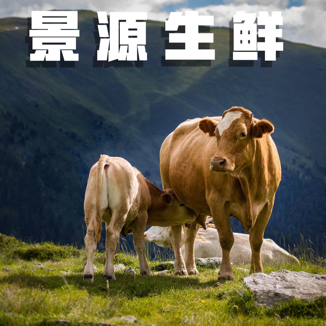 景源生鲜牛羊肉