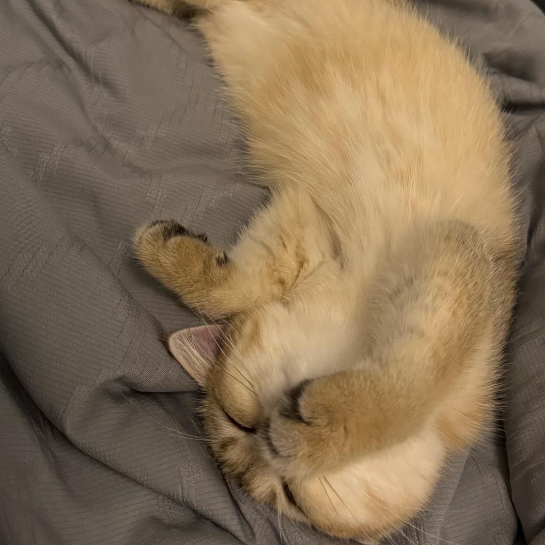 你是恩赐亦是劫