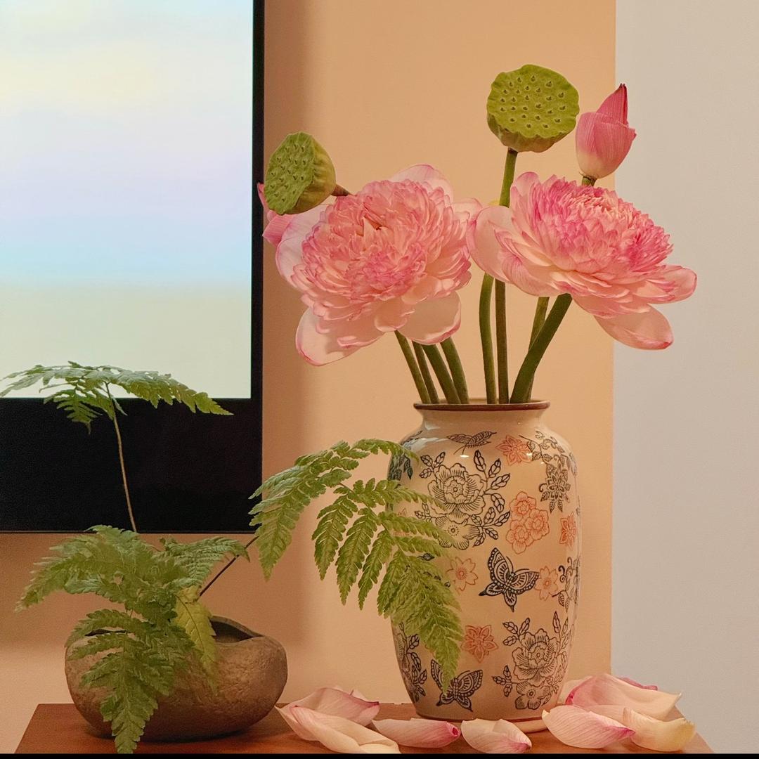 人生小滿胜萬全。