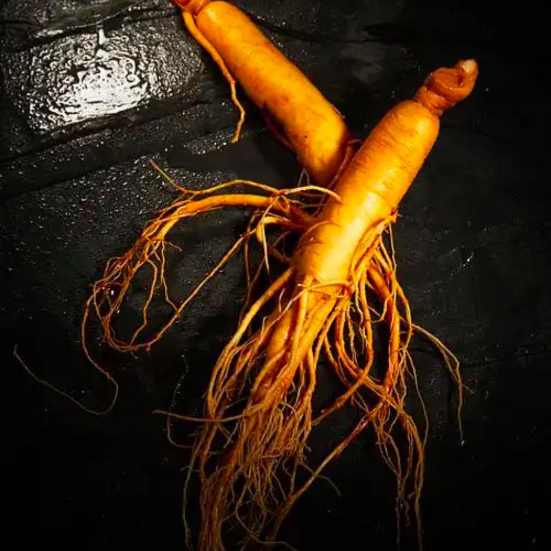 汇琨滋补养生馆