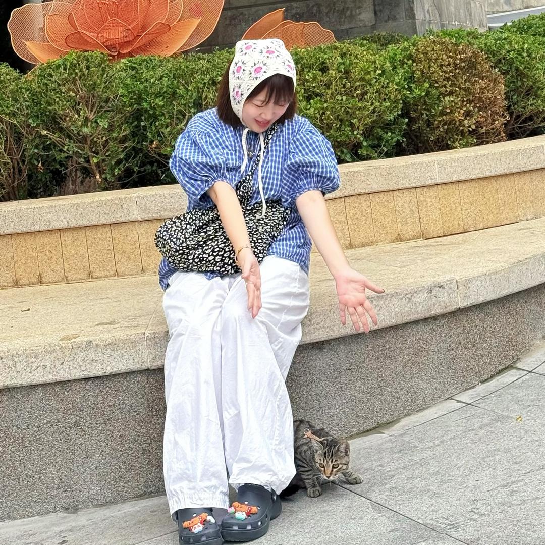于团团
