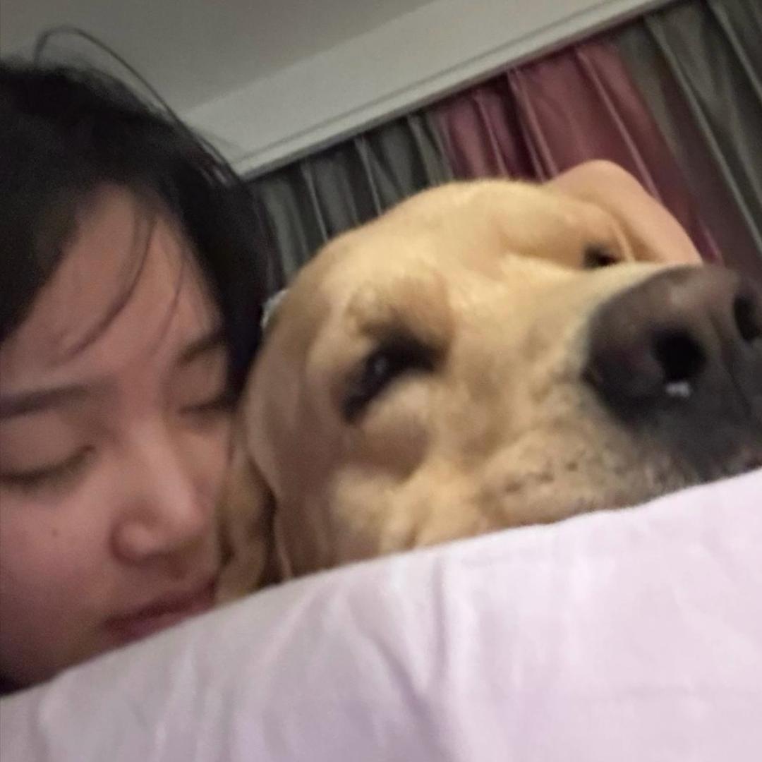 小朱总.