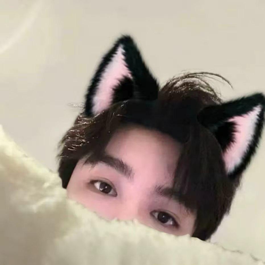 叶( •̀ ω •́ )y