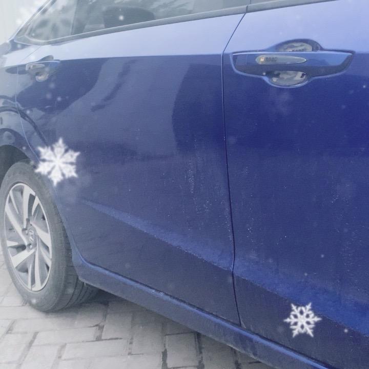 156255206