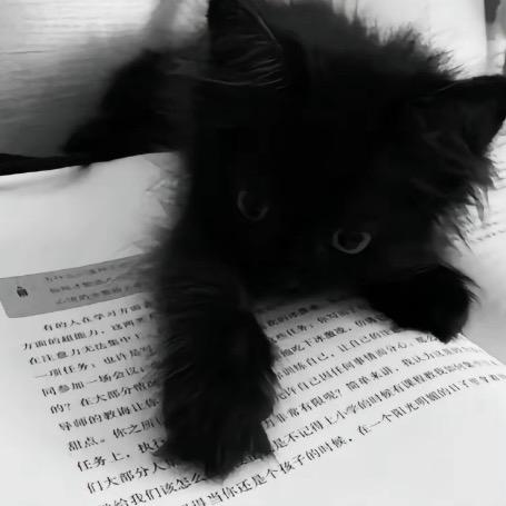 .laaa
