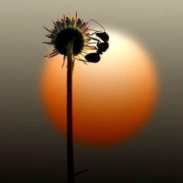 ࿐ཉི༗ 无所谓༗ཉི࿐