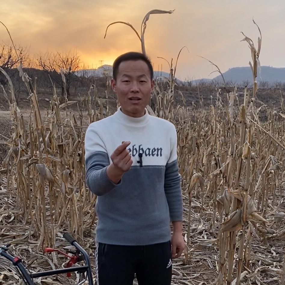 小乐电动手推车超高转速除草厂家