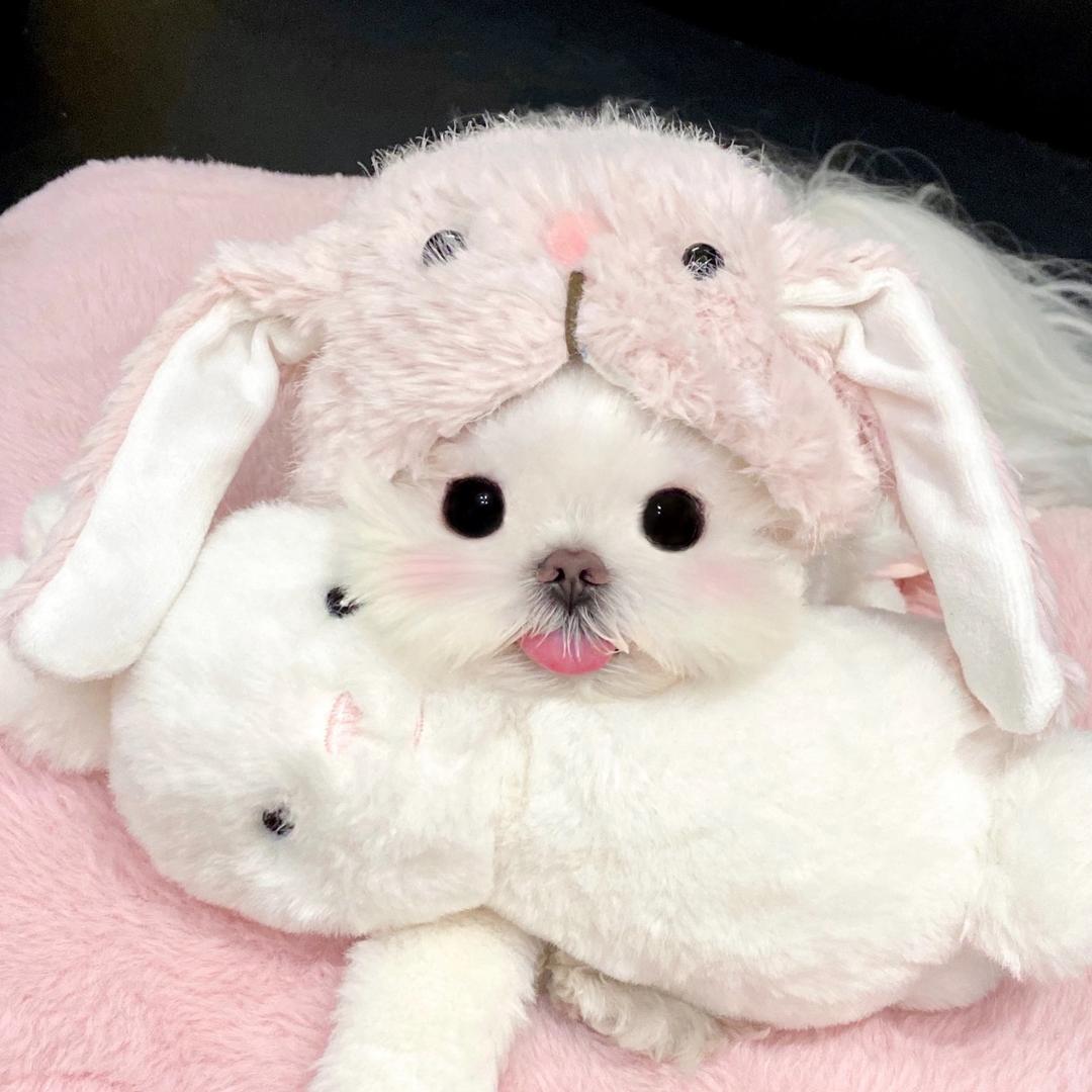 悠然小亦.