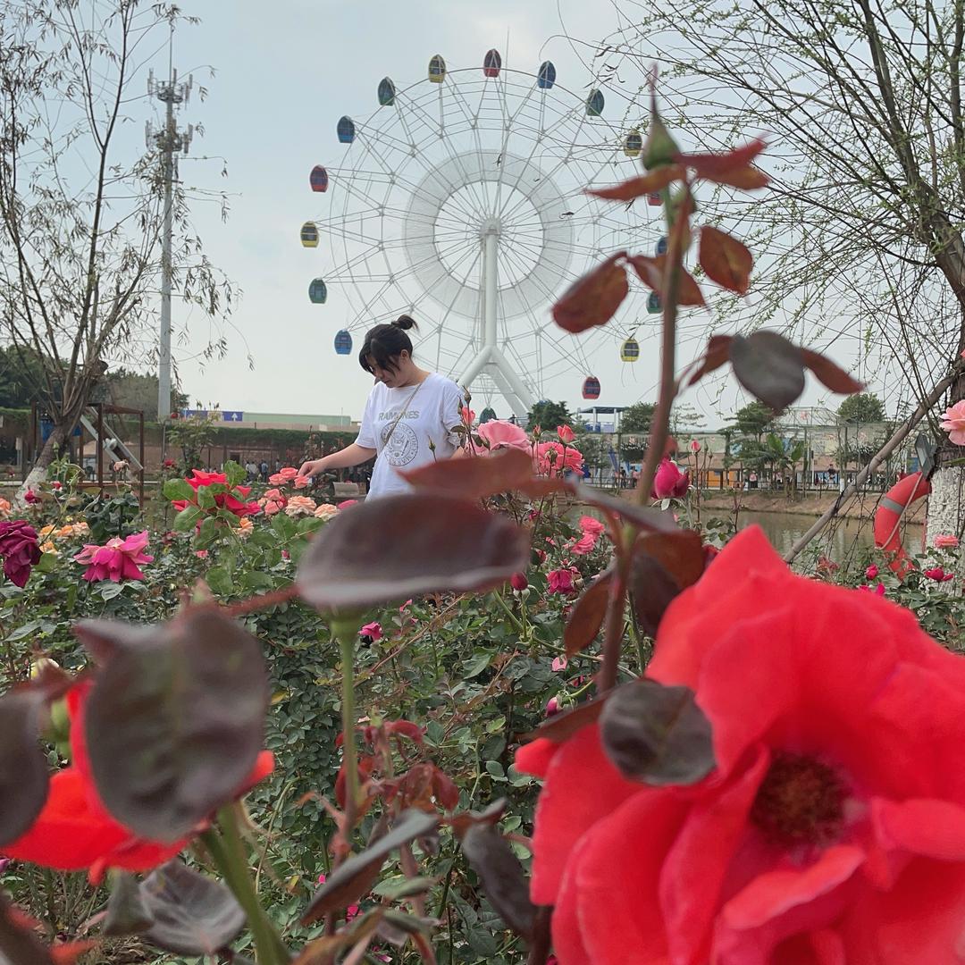 小蔡一碟🌷