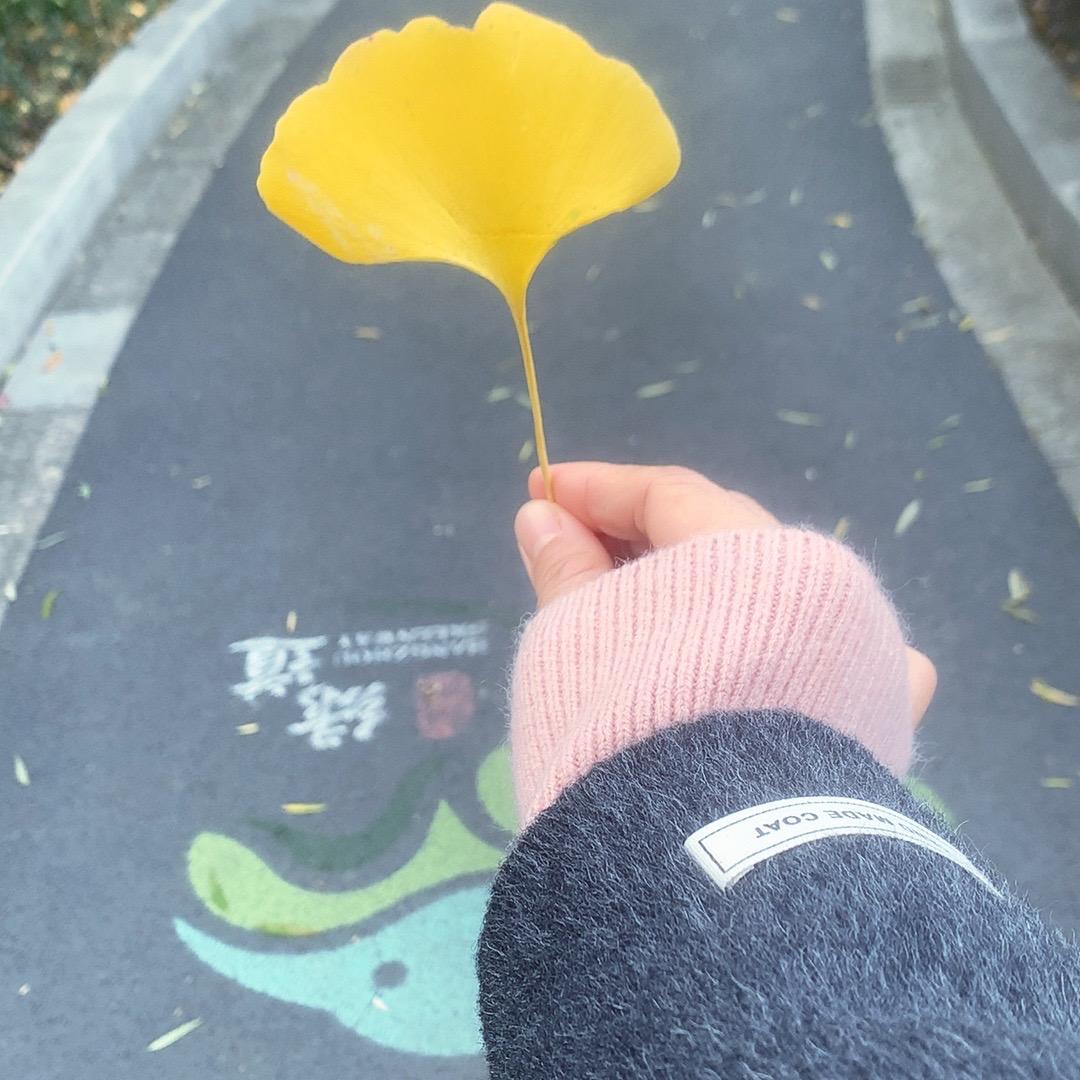 ❤️美羊羊❤️