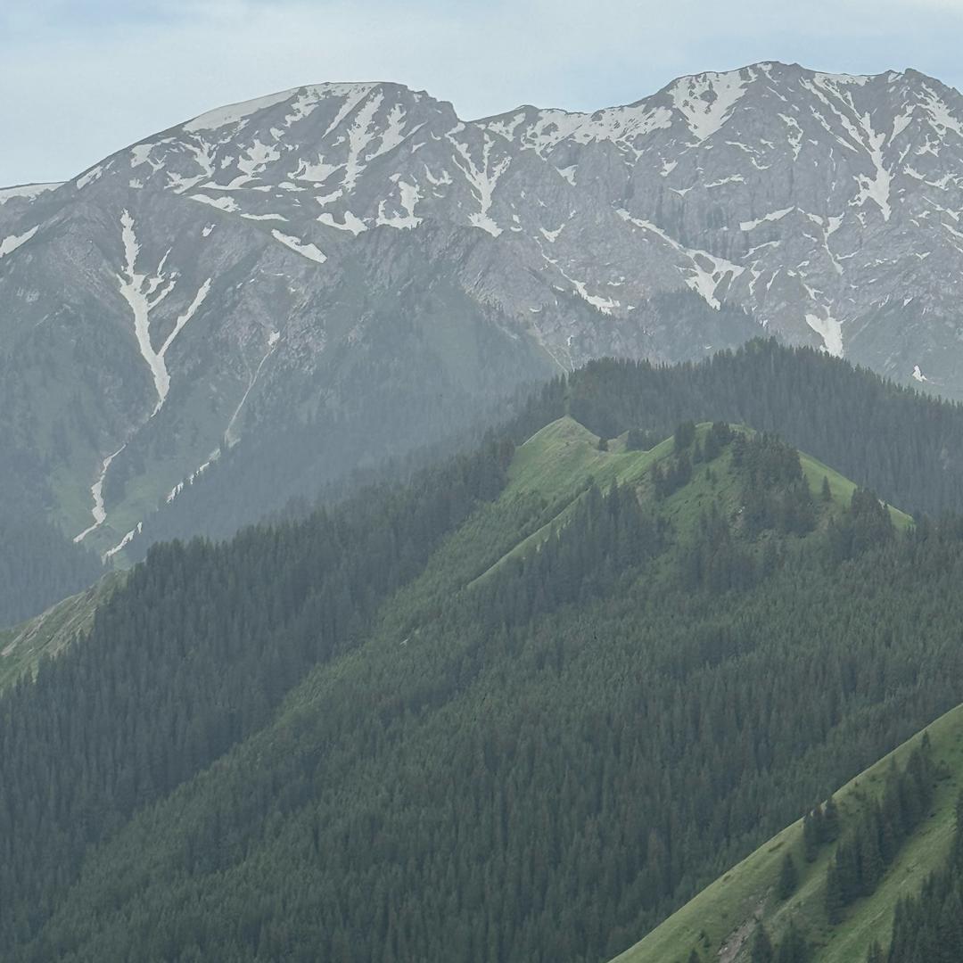 精彩余生🔥🔥