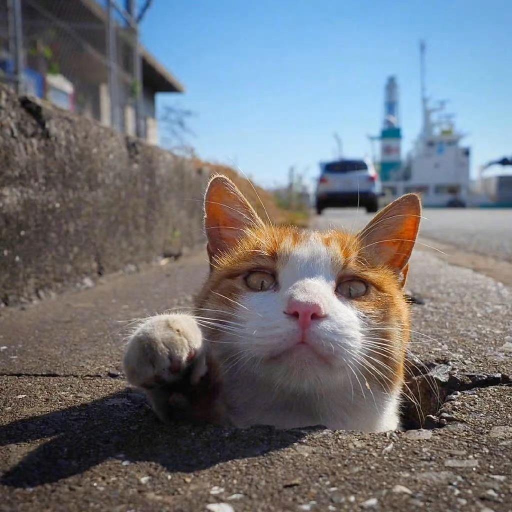 尧先生