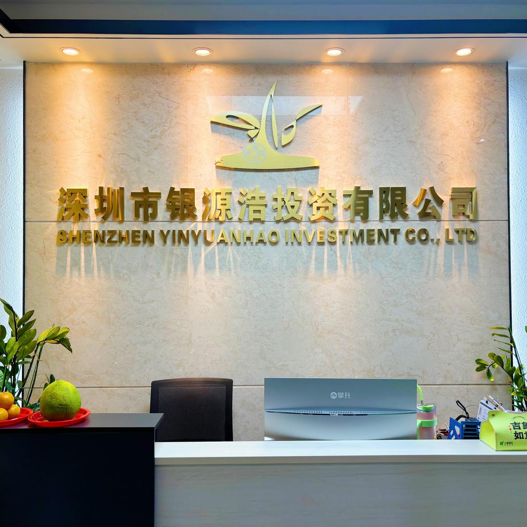 深圳市银源浩投资有限公司