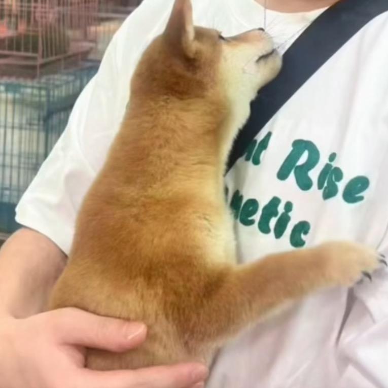 谢宝