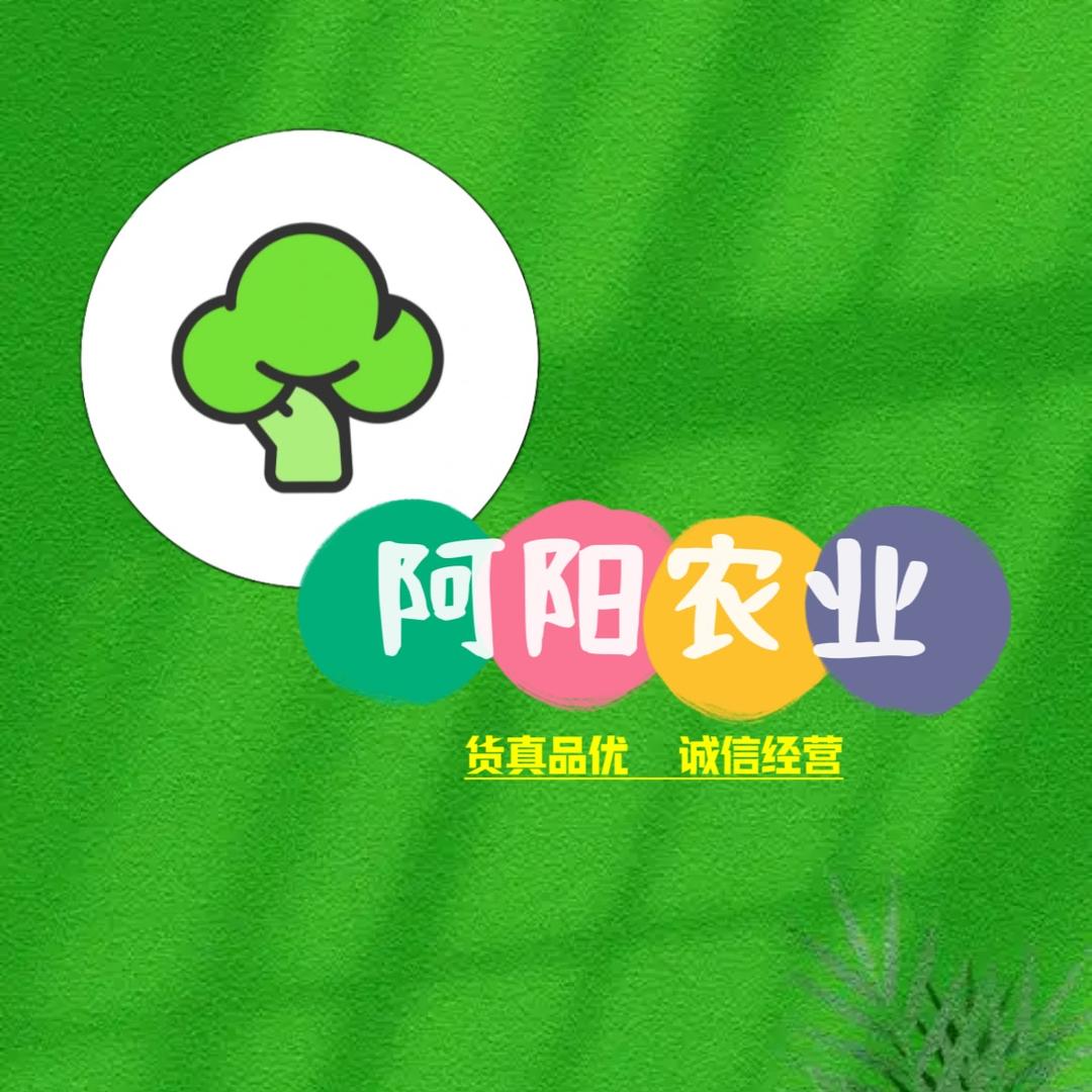 阿阳农业