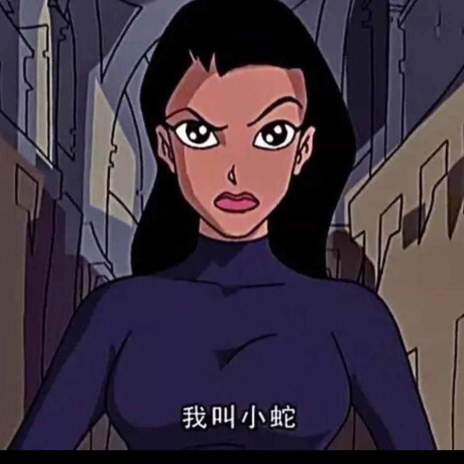 13区特工小蛇