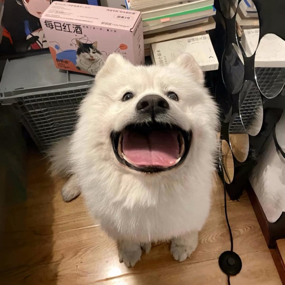 派大新