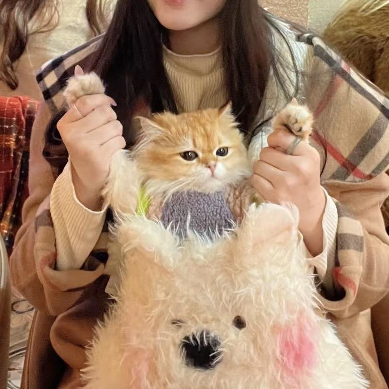 岁岁堡堡（水晶店主版）