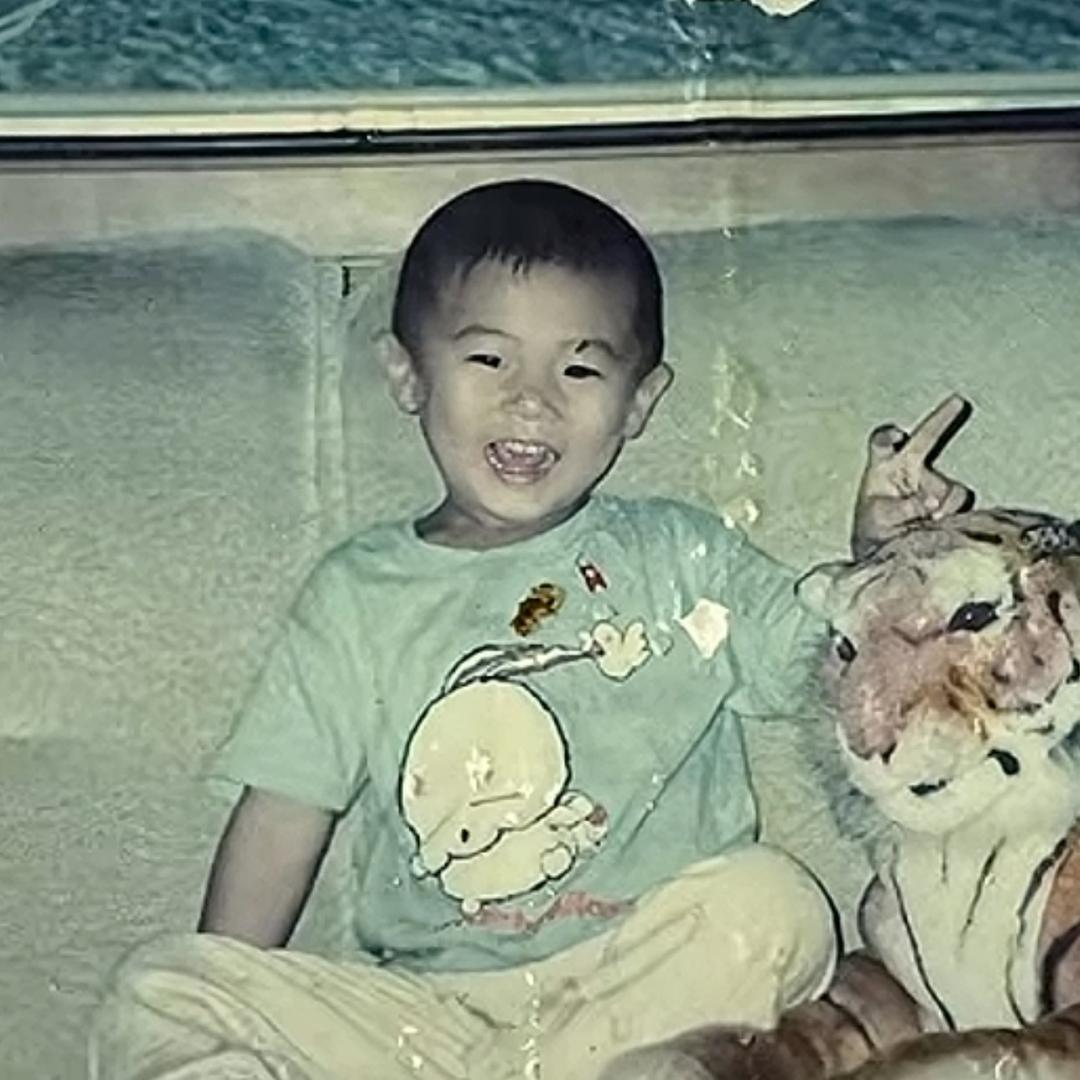 羊了个驼（单招数学）