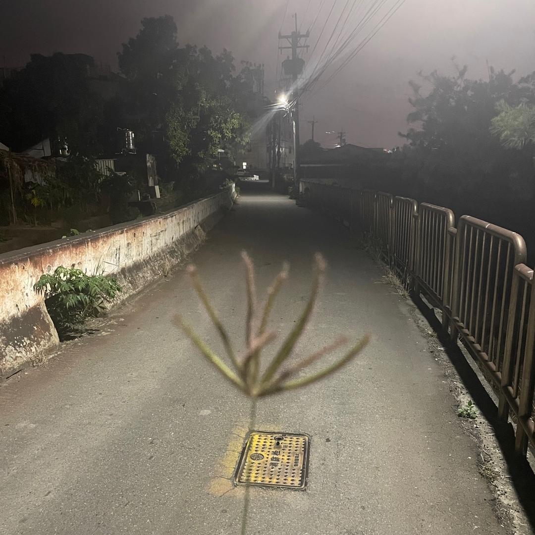 他乡生活