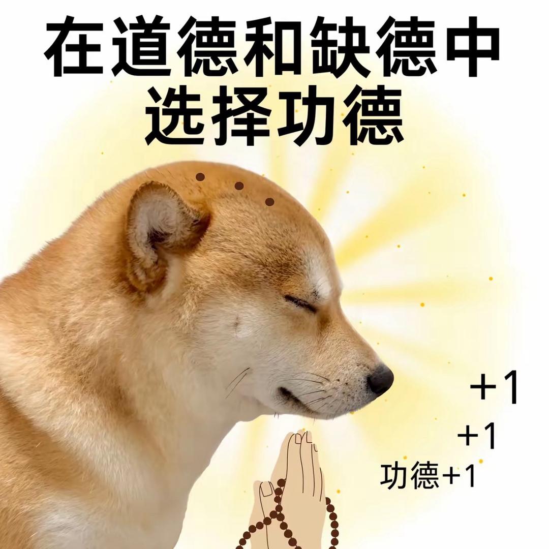 ⌓‿⌓