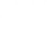 ¹⁹⁹⁵ฅ՞•ﻌ•՞ฅ