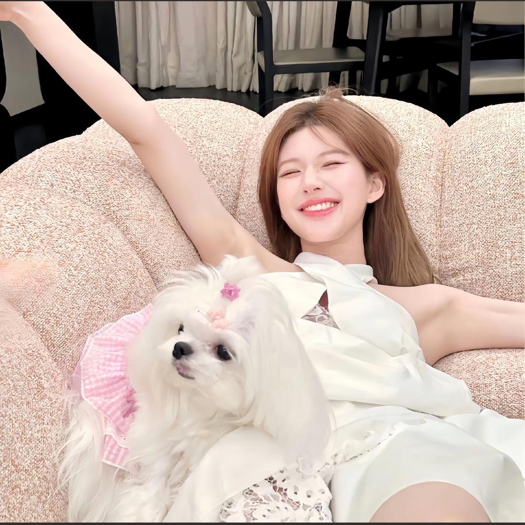 玫瑰枯悬案❗️