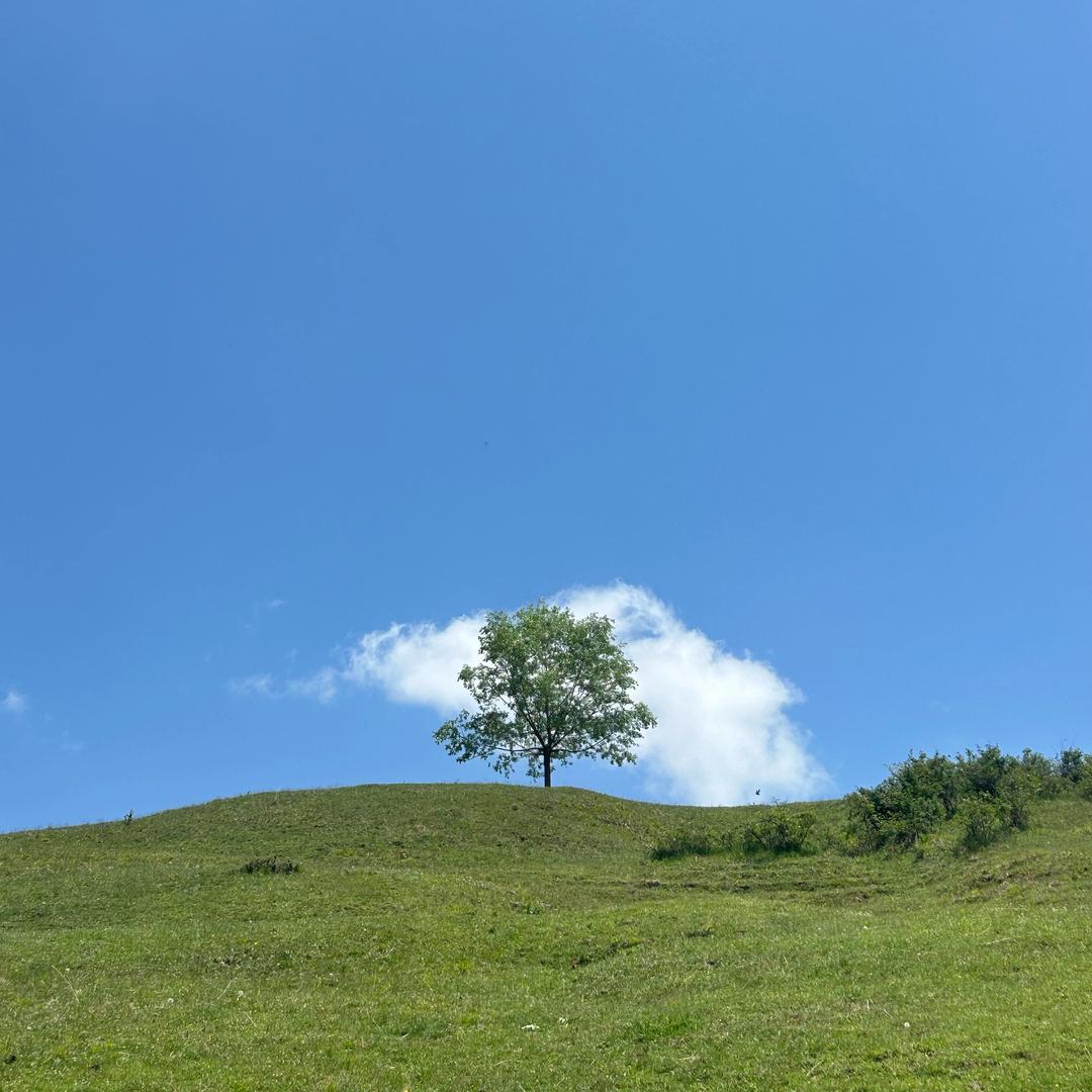 念念不忘，必有回响