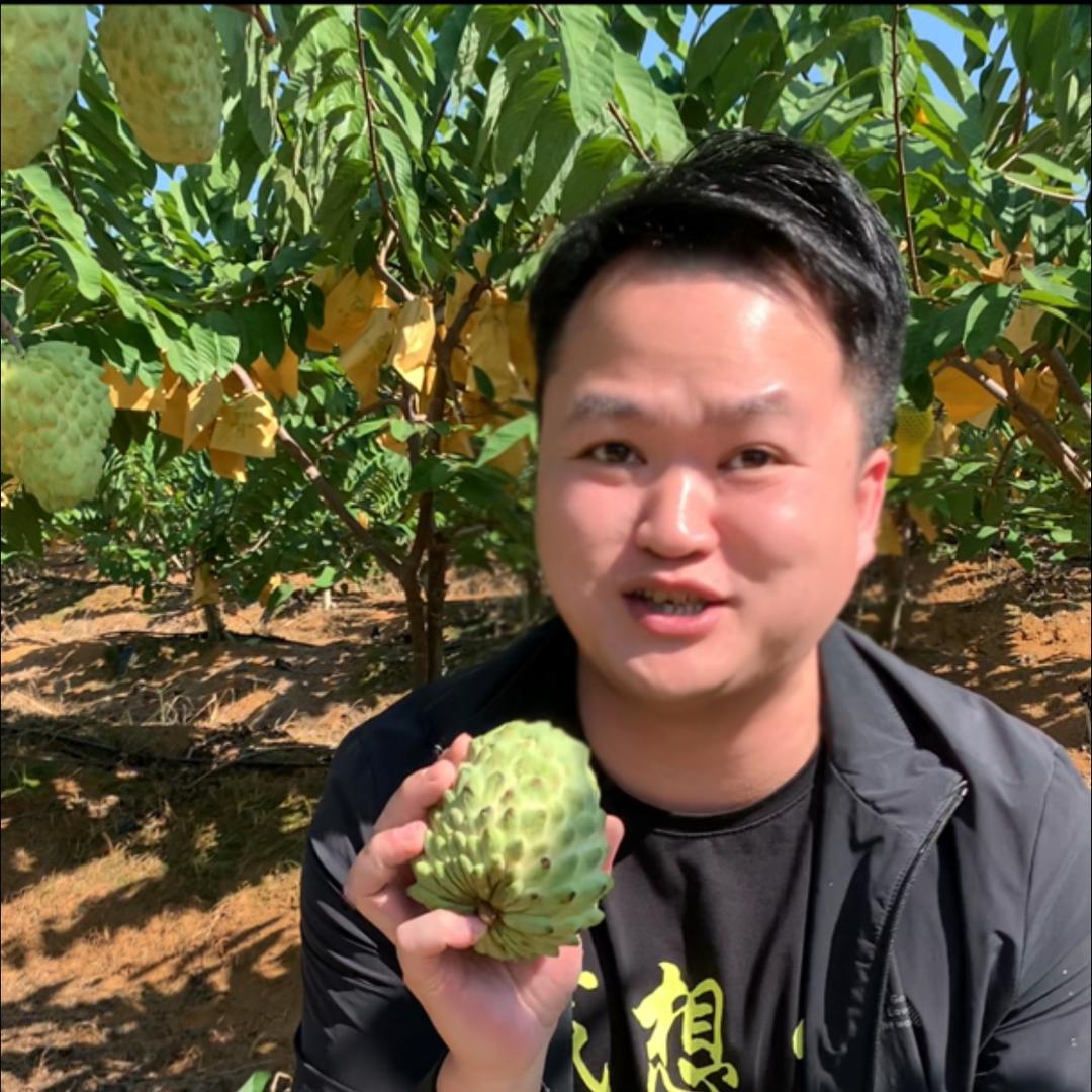 送老板（凤梨释迦果）